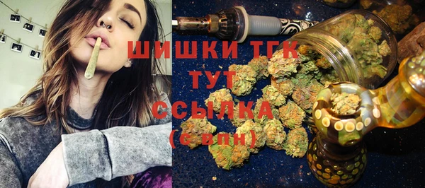 дживик Абаза
