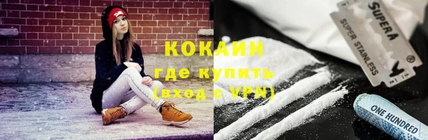 дживик Абаза