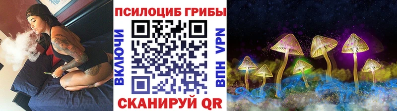Галлюциногенные грибы MAGIC MUSHROOMS  купить наркотики цена  Челябинск 