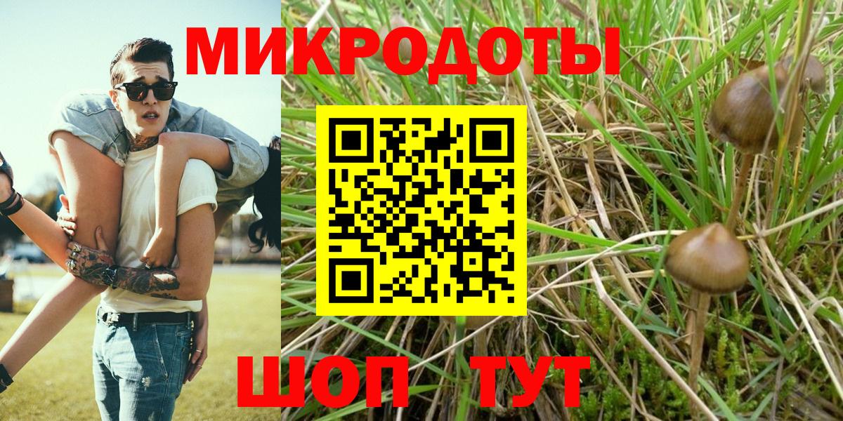 купить закладку  Галлюциногенные грибы Psilocybe  Вход с VPN  Псилоцибиновые грибы Psilocybe  Челябинск 
