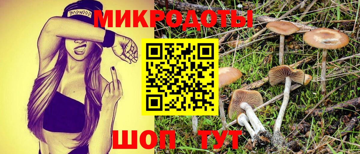 Псилоцибиновые грибы прущие грибы Челябинск