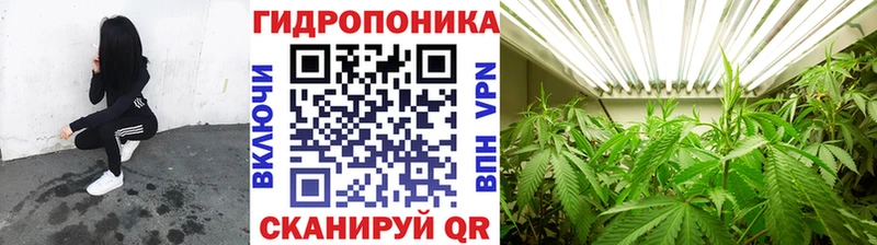 купить наркотики сайты  Челябинск  МАРИХУАНА ГИДРОПОН 